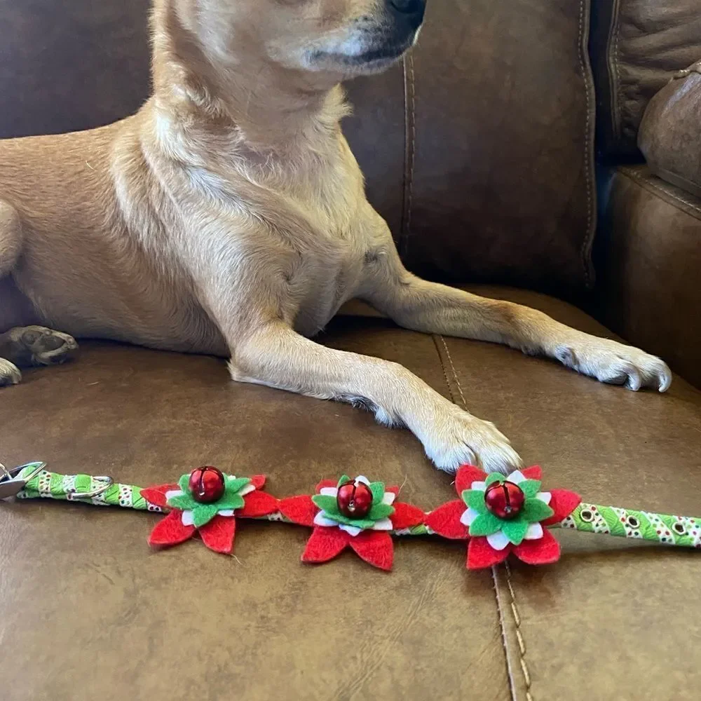 Fancy Christmas Poinsettia Collar